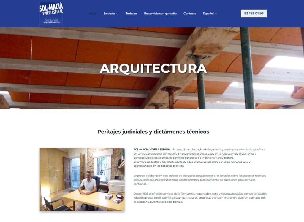 Diseño web Perito